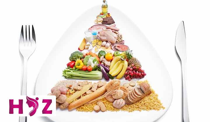 رژیم غذایی چیست