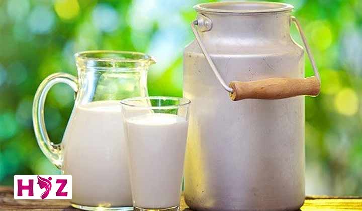 رژیم لاغری شیر چیست؟