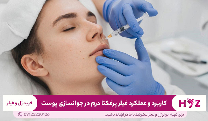 کاربرد و عملکرد فیلر پرفکتا درم در جوانسازی پوست